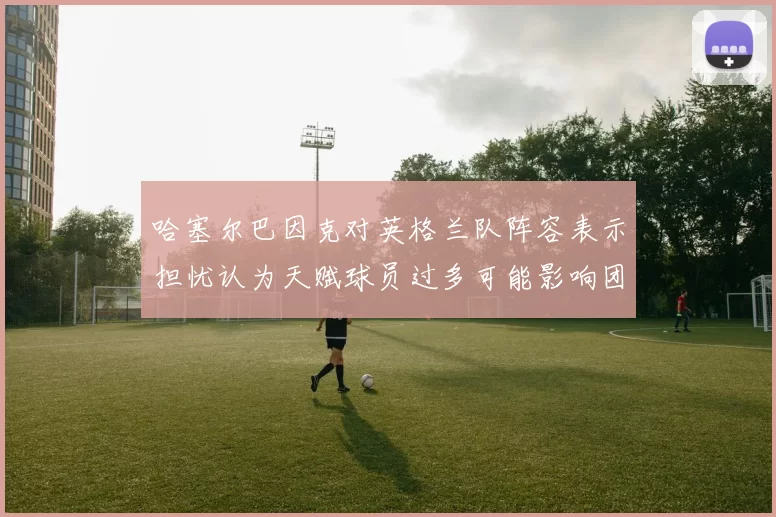 哈塞尔巴因克对英格兰队阵容表示担忧认为天赋球员过多可能影响团队合作