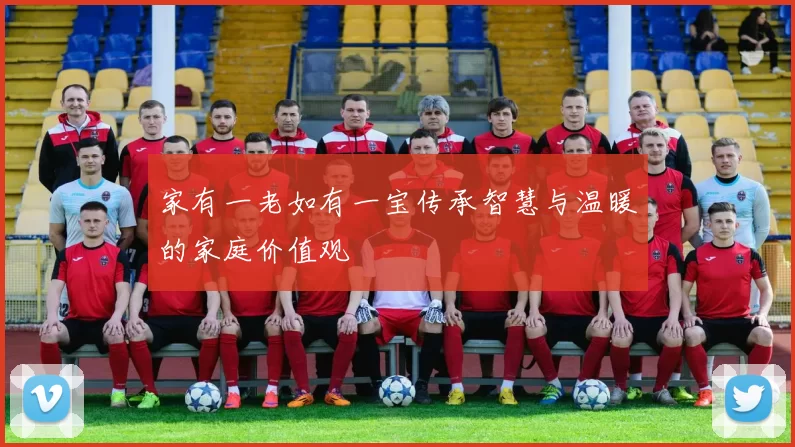 家有一老如有一宝传承智慧与温暖的家庭价值观